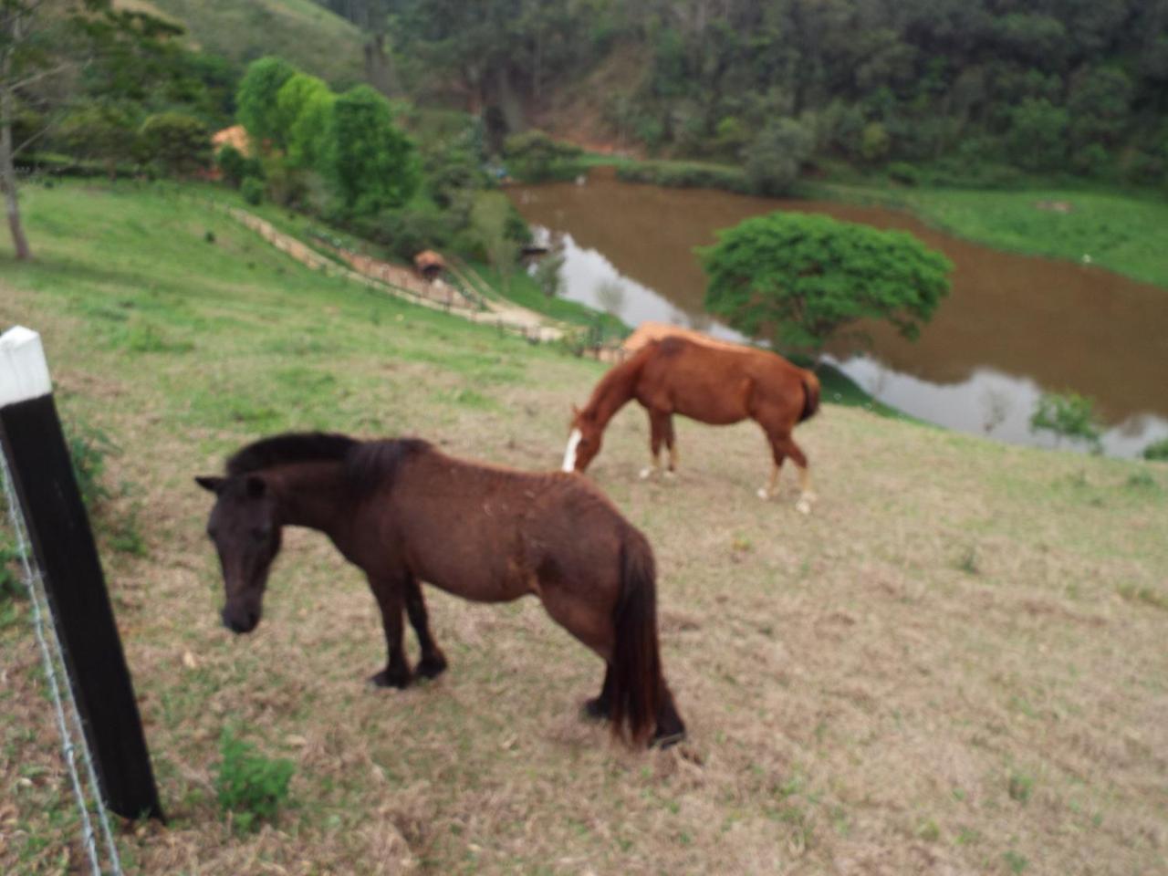 Estrela Da Serra Hotel Fazenda Santo Antônio do Pinhal Eksteriør billede