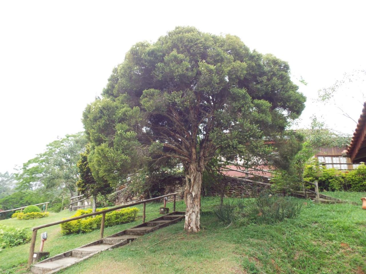 Estrela Da Serra Hotel Fazenda Santo Antônio do Pinhal Eksteriør billede